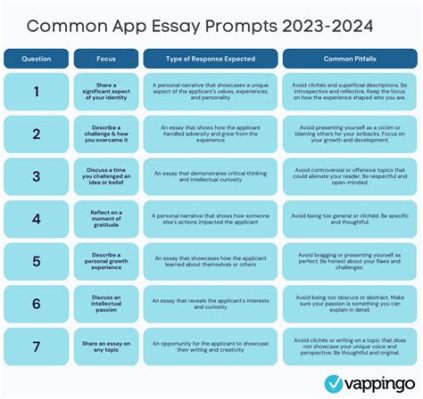 does rutgers have a supplemental essay for the 2023-2024 application cycle?