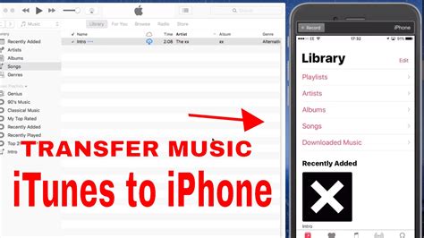 How to Transfer Music from iPhone to iPhone: Insights and Tips