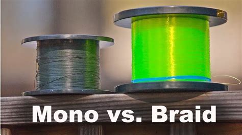 is braid better than mono: An Intricate Tapestry of Fishing Line Options