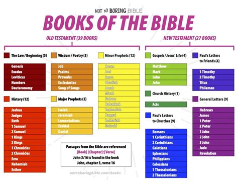 What Books of the Bible Should I Read First? And in What Order?